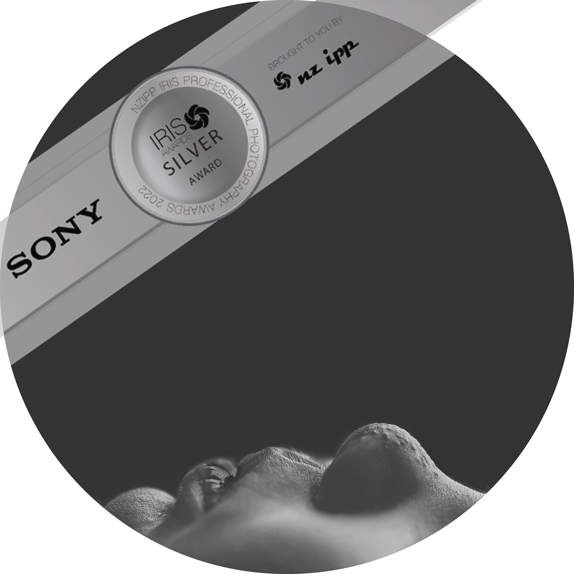 Sony Awards